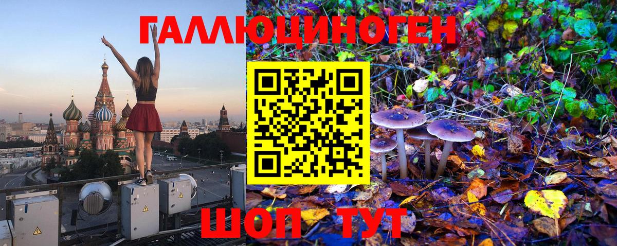 Россия  Псилоцибиновые грибы Cubensis  Вход с VPN  Галлюциногенные грибы MAGIC MUSHROOMS 