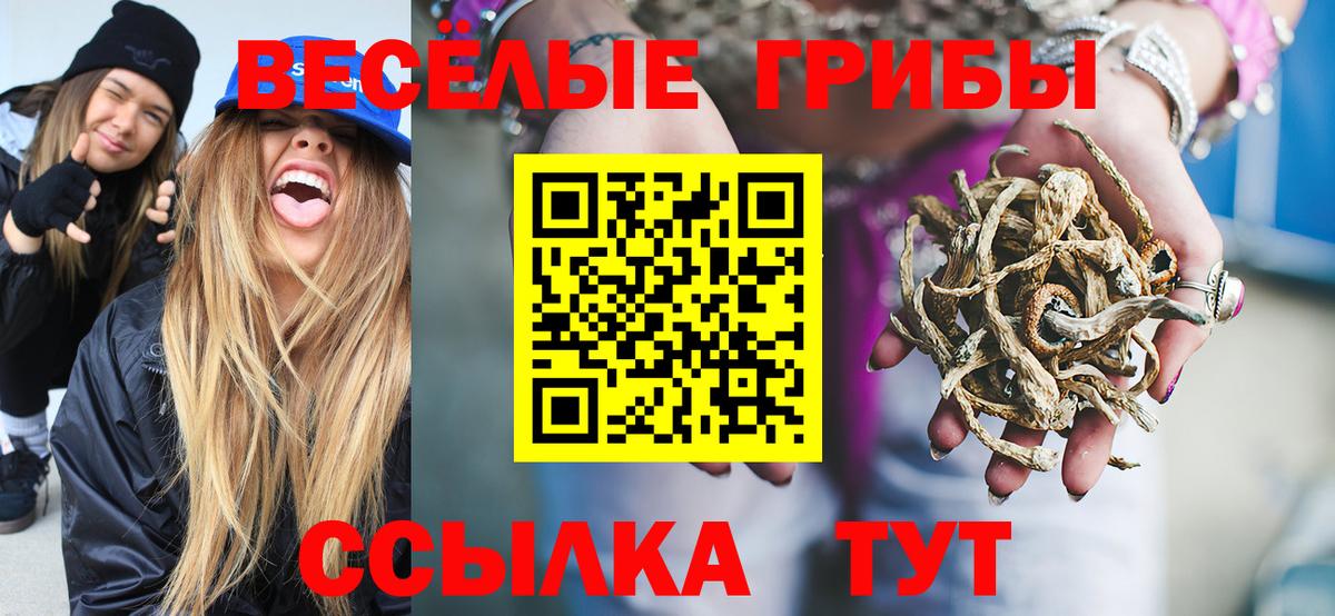 Псилоцибиновые грибы GOLDEN TEACHER Россия